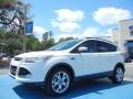 2013 White Platinum Metallic Tri-Coat Ford Escape SEL 1.6L EcoBoost  photo #1