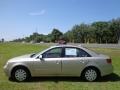 Camel Pearl - Sonata GLS Photo No. 2