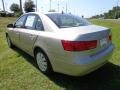 Camel Pearl - Sonata GLS Photo No. 3