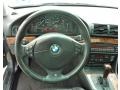 2001 Steel Blue Metallic BMW 5 Series 540i Sedan  photo #15