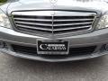 Palladium Silver Metallic - C 300 Luxury Photo No. 11
