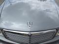 Palladium Silver Metallic - C 300 Luxury Photo No. 12