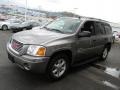 Steel Grey Metallic - Envoy SLT 4x4 Photo No. 6