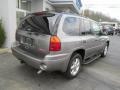 Steel Grey Metallic - Envoy SLT 4x4 Photo No. 9