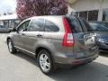 2010 Urban Titanium Metallic Honda CR-V EX AWD  photo #3