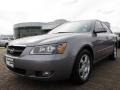 Steel Gray - Sonata GLS V6 Photo No. 9