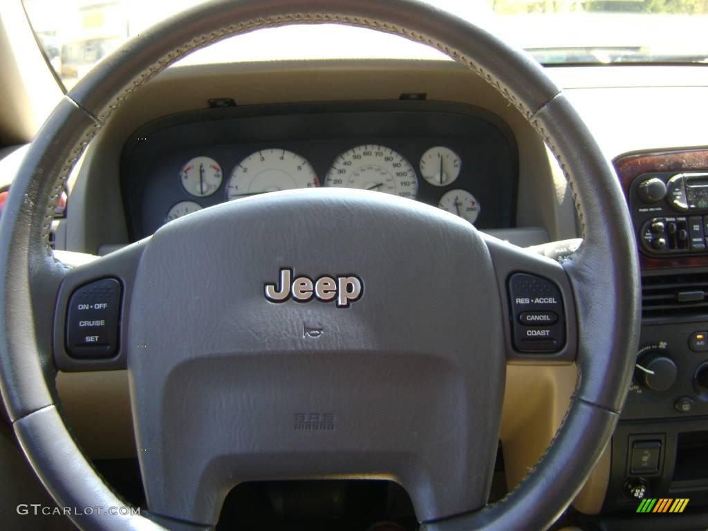 2004 Grand Cherokee Limited 4x4 - Graphite Metallic / Taupe photo #9