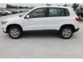 Candy White - Tiguan S Photo No. 5
