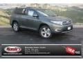 2013 Cypress Green Pearl Toyota Highlander Limited 4WD  photo #1