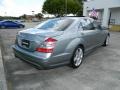 Andorite Gray Metallic - S 550 Sedan Photo No. 3