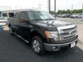 Kodiak Brown Metallic - F150 XLT SuperCrew Photo No. 10