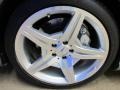 Palladium Silver Metallic - SL 550 Roadster Photo No. 12