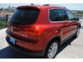 Wild Cherry Metallic - Tiguan SE Photo No. 7