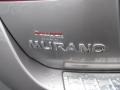 2011 Platinum Graphite Nissan Murano LE AWD  photo #45