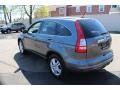 2010 Polished Metal Metallic Honda CR-V EX-L AWD  photo #10