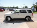 2009 White Suede Ford Escape Limited V6  photo #5