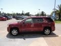 Merlot Jewel Metallic - Terrain SLE Photo No. 5