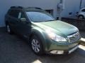 2010 Cypress Green Pearl Subaru Outback 2.5i Limited Wagon  photo #1