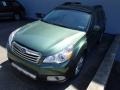 2010 Cypress Green Pearl Subaru Outback 2.5i Limited Wagon  photo #3