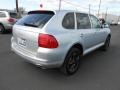 Iceland Silver Metallic - Cayenne S Photo No. 7