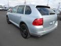Iceland Silver Metallic - Cayenne S Photo No. 10