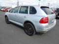 Iceland Silver Metallic - Cayenne S Photo No. 11
