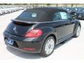 Black - Beetle 2.5L Convertible Photo No. 13