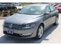 Platinum Gray Metallic - Passat TDI SEL Photo No. 3