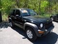 Black Clearcoat 2004 Jeep Liberty Sport 4x4