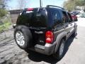 Black Clearcoat - Liberty Sport 4x4 Photo No. 5