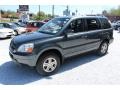 Sage Brush Pearl - Pilot EX-L 4WD Photo No. 10