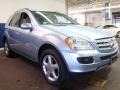 Alpine Rain Metallic - ML 350 4Matic Photo No. 3