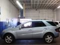 Alpine Rain Metallic - ML 350 4Matic Photo No. 9