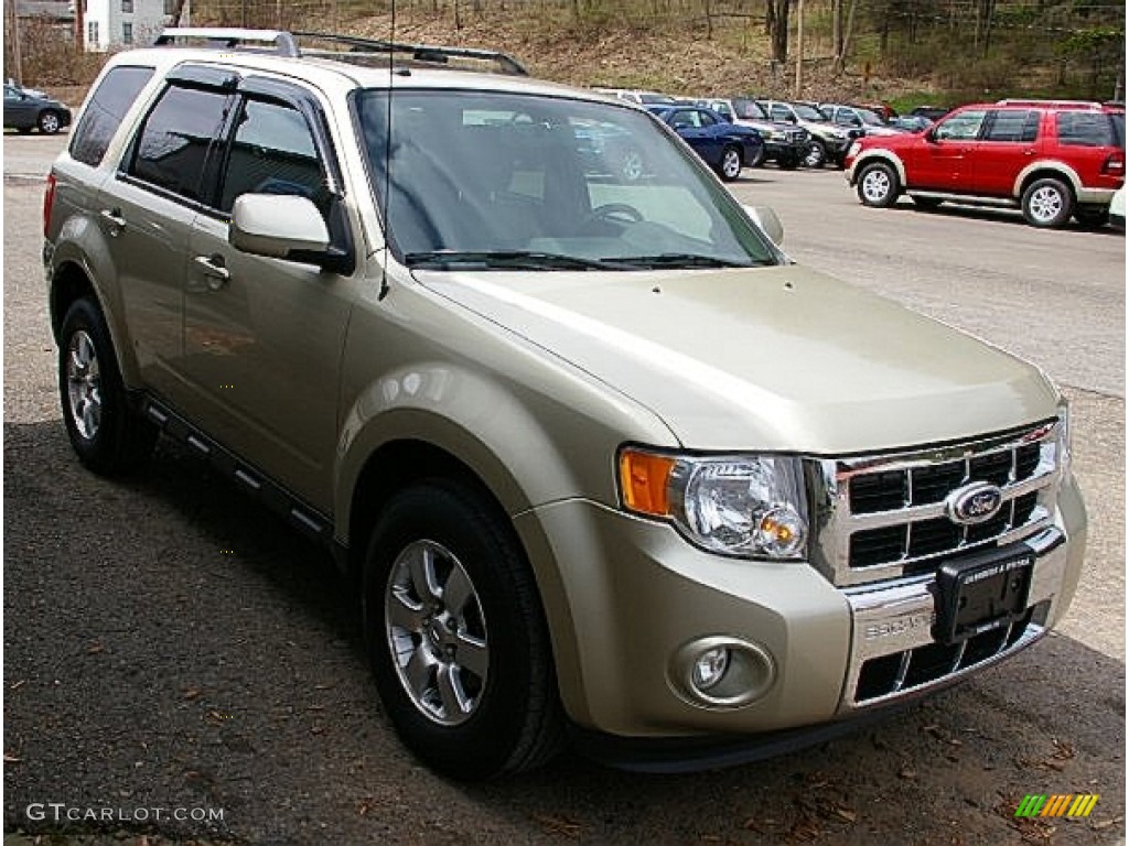 Gold Leaf Metallic 2010 Ford Escape Limited V6 4WD Exterior Photo #80101465