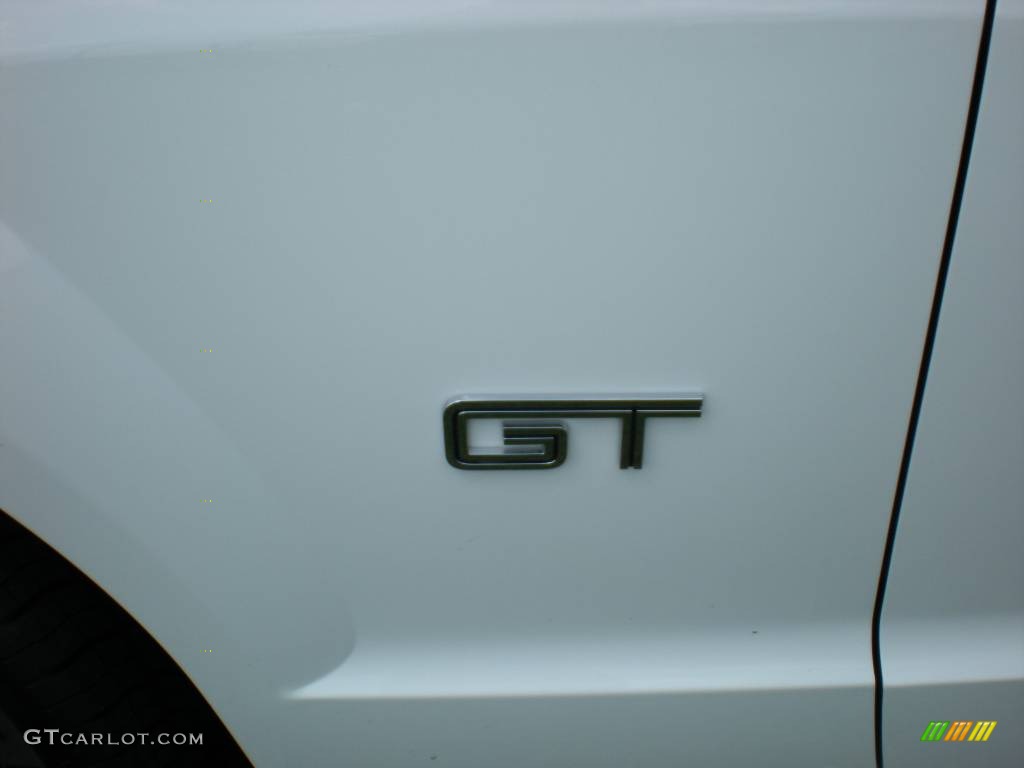 2006 Mustang GT Premium Coupe - Performance White / Light Graphite photo #18
