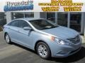 Iridescent Silver Blue Pearl - Sonata GLS Photo No. 1