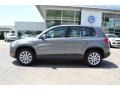 Alpine Grey Metallic - Tiguan S Photo No. 2
