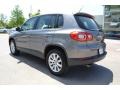 Alpine Grey Metallic - Tiguan S Photo No. 3