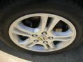 2006 Royal Blue Pearl Honda Accord SE Sedan  photo #10