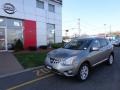 2010 Gotham Gray Nissan Rogue S AWD  photo #1