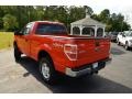 2013 Race Red Ford F150 XLT Regular Cab 4x4  photo #9