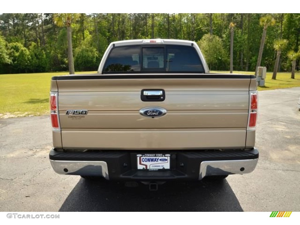 2013 F150 XLT SuperCrew 4x4 - Pale Adobe Metallic / Adobe photo #6