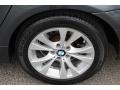 2010 Platinum Grey Metallic BMW 5 Series 535i xDrive Sedan  photo #32