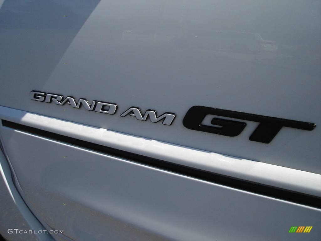 1999 Grand Am GT Coupe - Arctic White / Dark Pewter photo #14