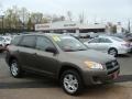 Pyrite Metallic - RAV4 I4 4WD Photo No. 1