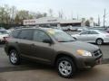 Pyrite Metallic - RAV4 I4 4WD Photo No. 1