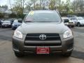 Pyrite Metallic - RAV4 I4 4WD Photo No. 2