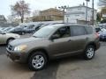 Pyrite Metallic 2010 Toyota RAV4 I4 4WD Exterior
