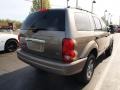 2005 Light Khaki Metallic Dodge Durango SLT 4x4  photo #3