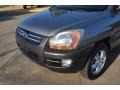 Steel Silver - Sportage LX V6 Photo No. 10